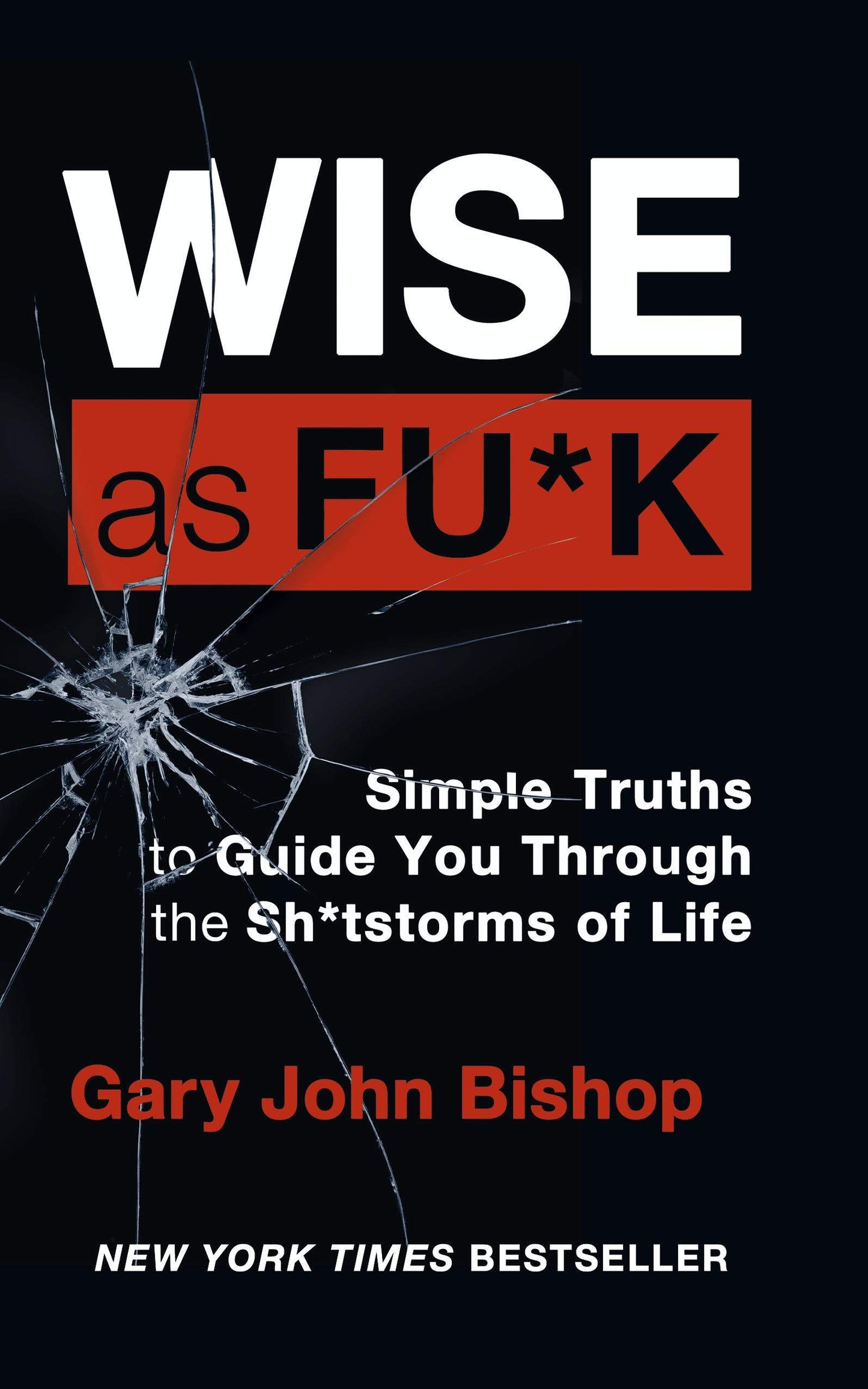 Wise as Fu*k:Simple Truths to Guide You Through the Sh*t storms in Life-AUDIOBOOK/MP3
